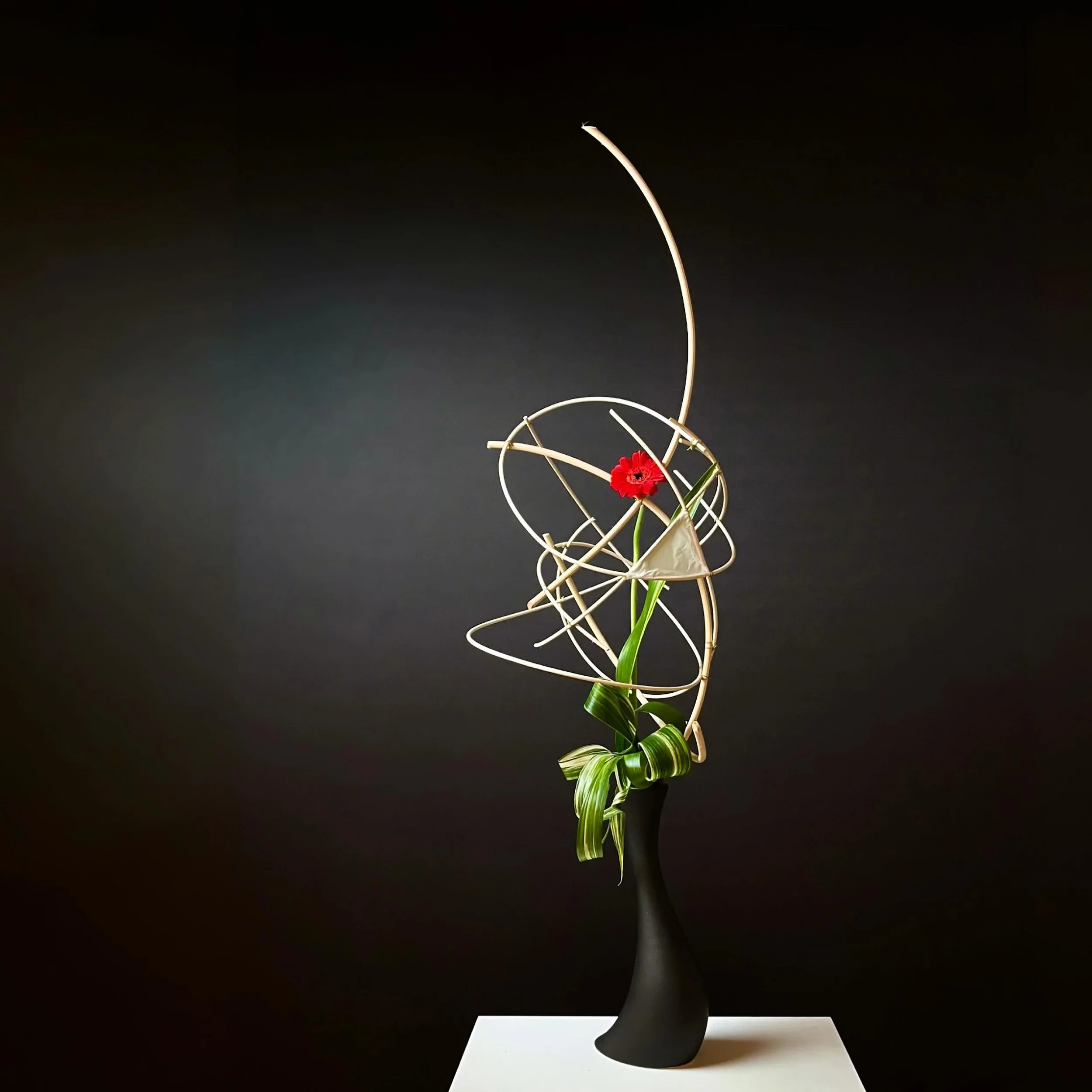 .
Hello September,

I love the way lines create little cosmic spaces. Made this in Christine&rsquo;s class a year and a half ago and somehow forgot to post it until now.

Thinking of &lsquo;Ma&rsquo;, I feel that the natural world is full of such rhy