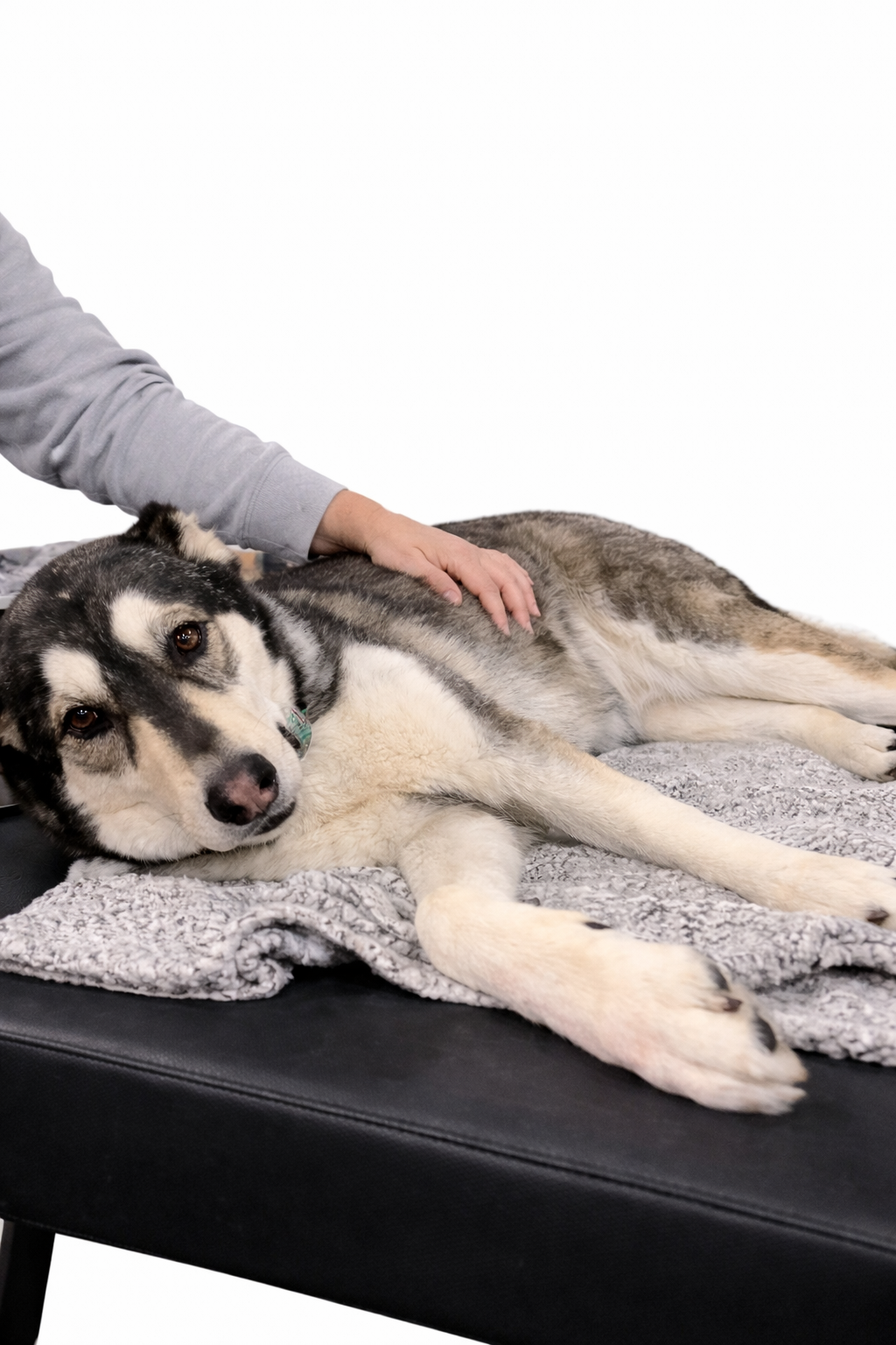 Initial Assessment & Massage