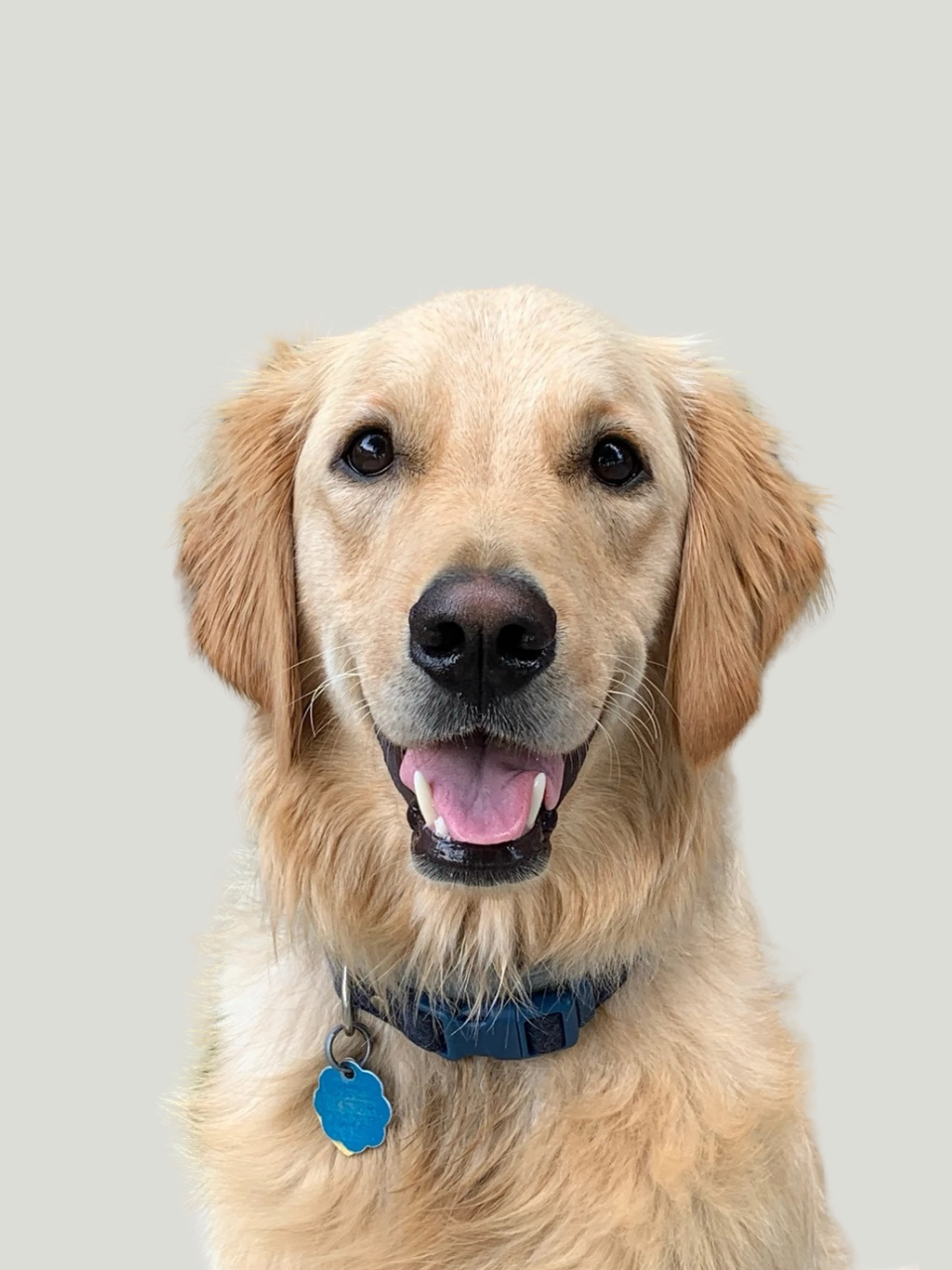 Franklin, Chief Moral Officer