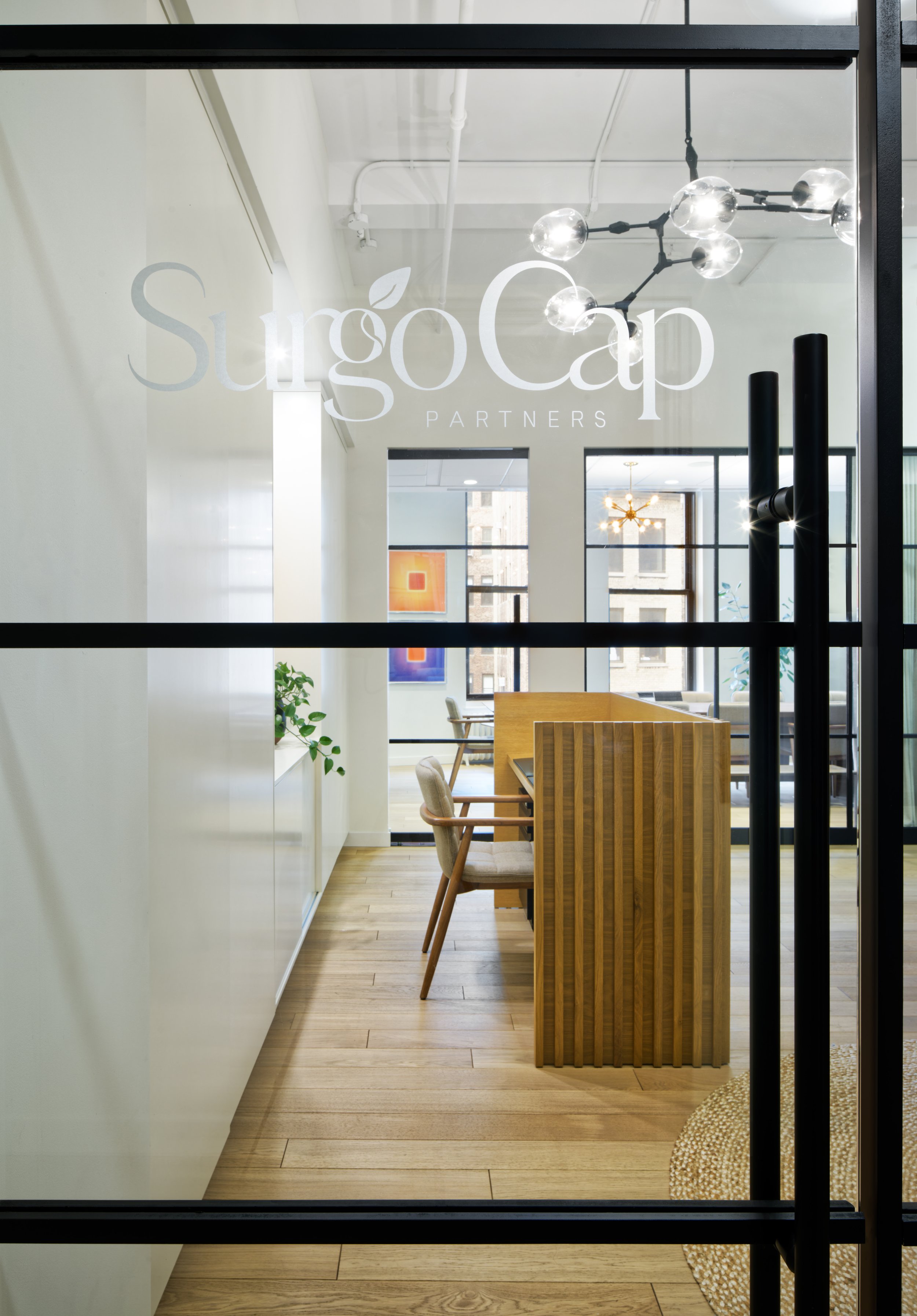 Surgo Capital
