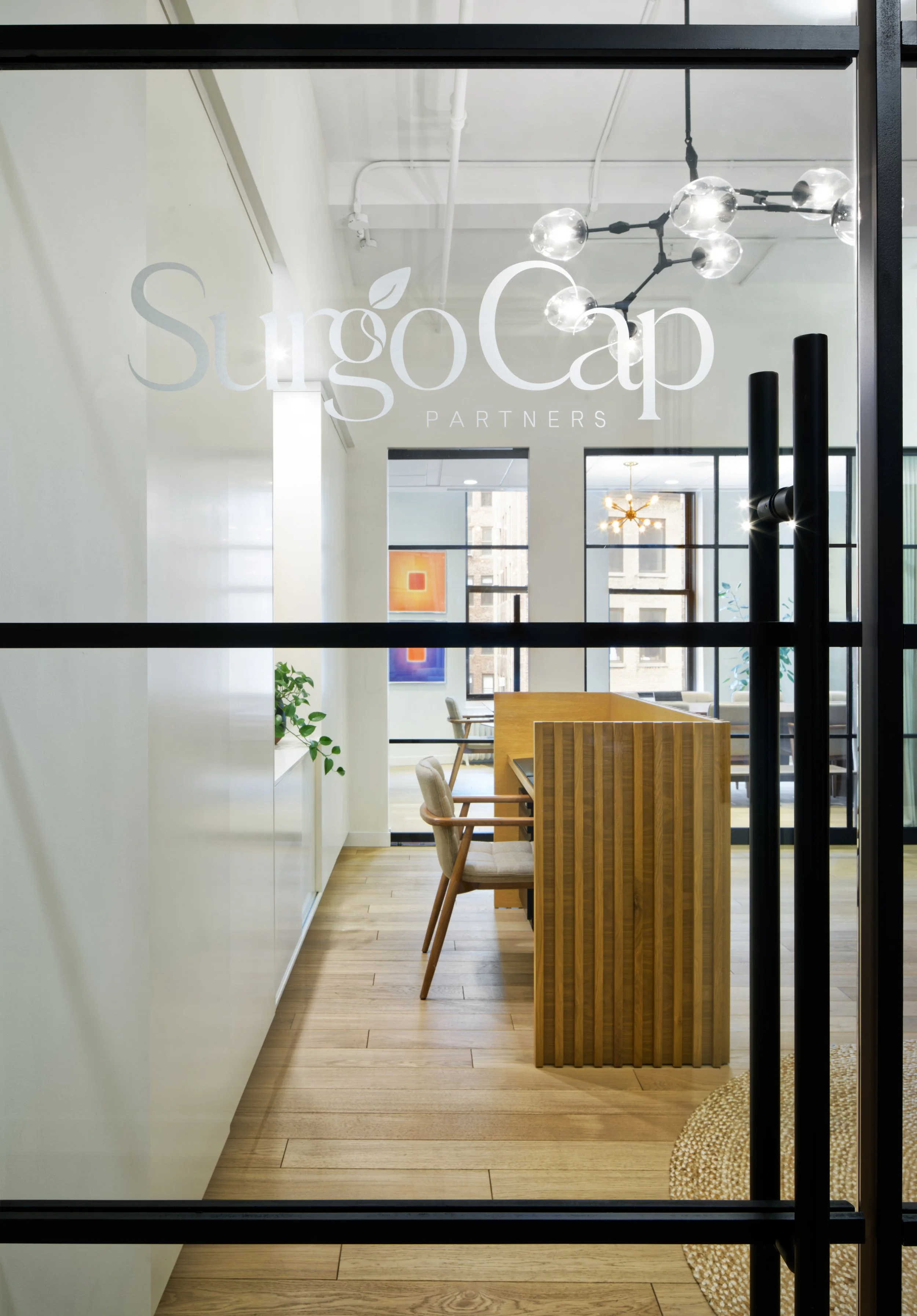 AT-SurgoCap-01.jpg