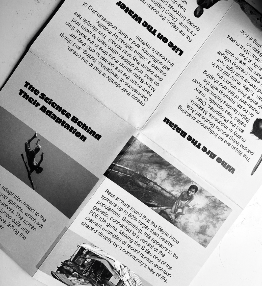 Screenshot 2026-01-25 at 5.47.32 PM.png