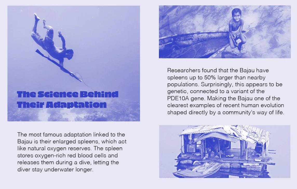 Screenshot 2026-02-09 at 9.48.jpg