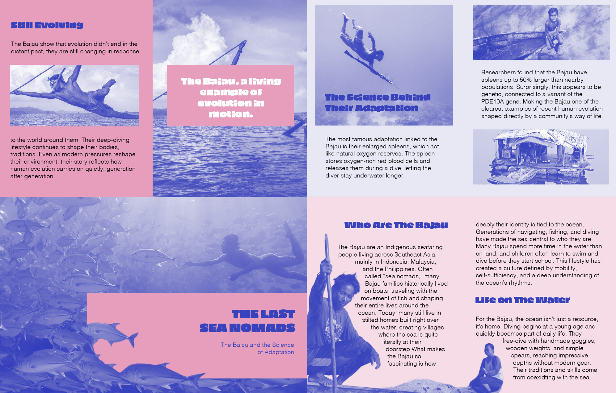 Screenshot 2026-01-22 at 7.55.24 PM.png