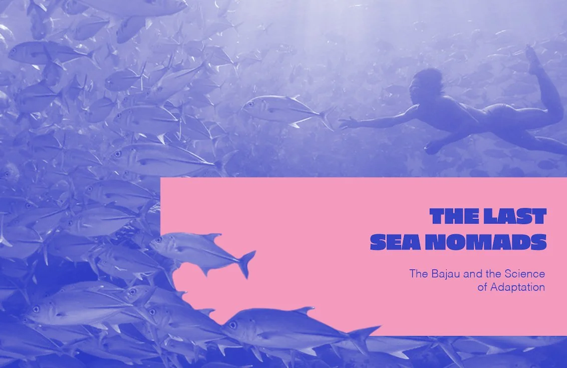 Screenshot 2026-02-09 at 9.8.jpg