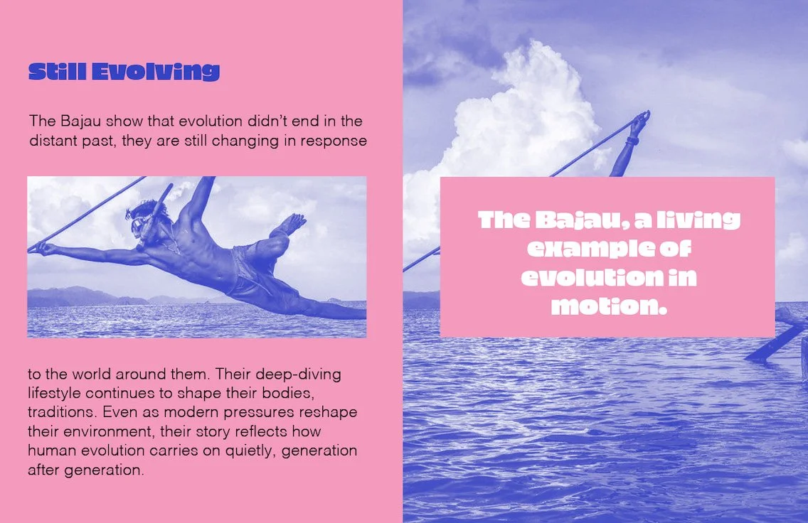 Screenshot 2026-02-09 a9.48.jpg