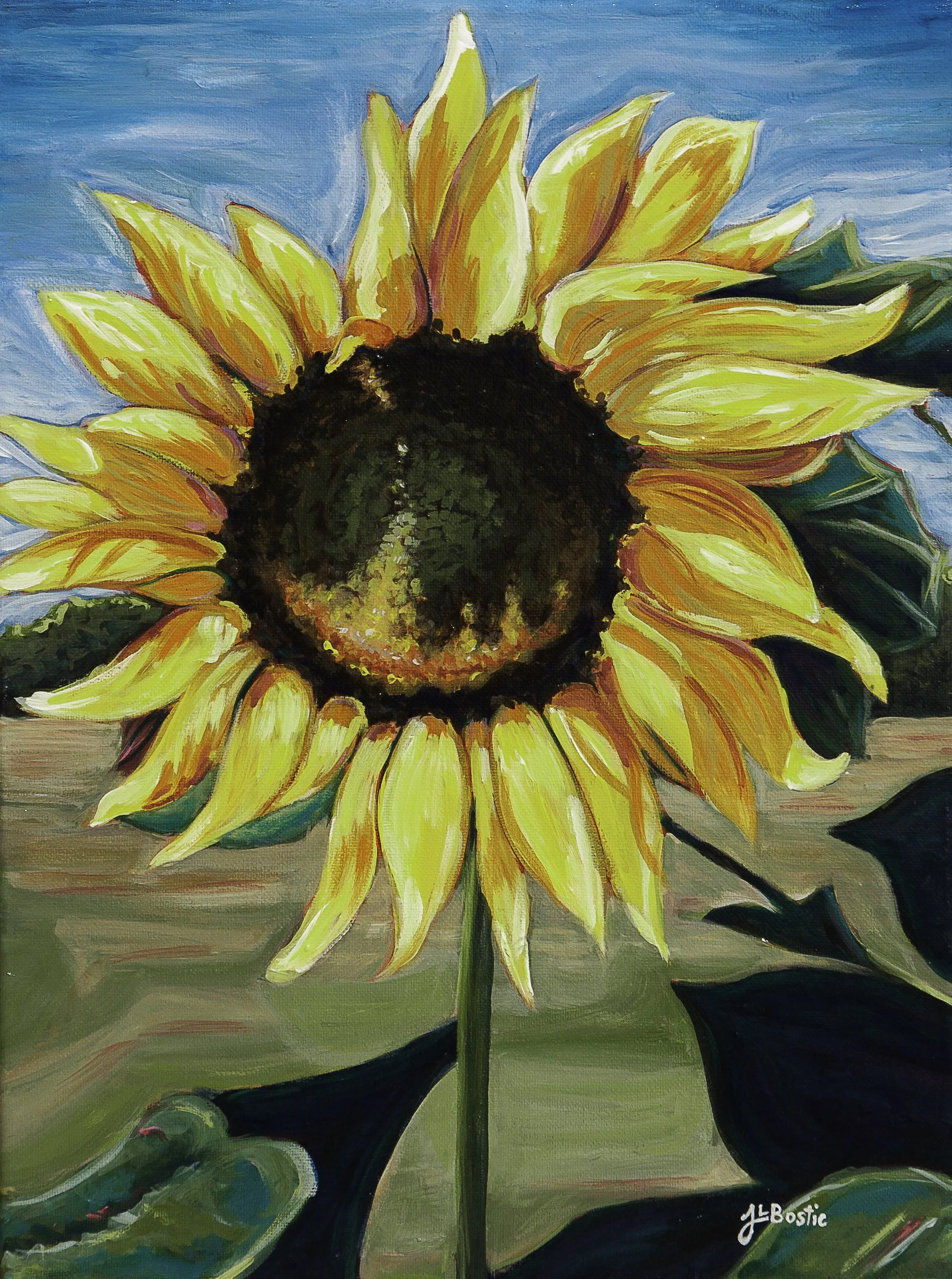 Sunflower2.jpg