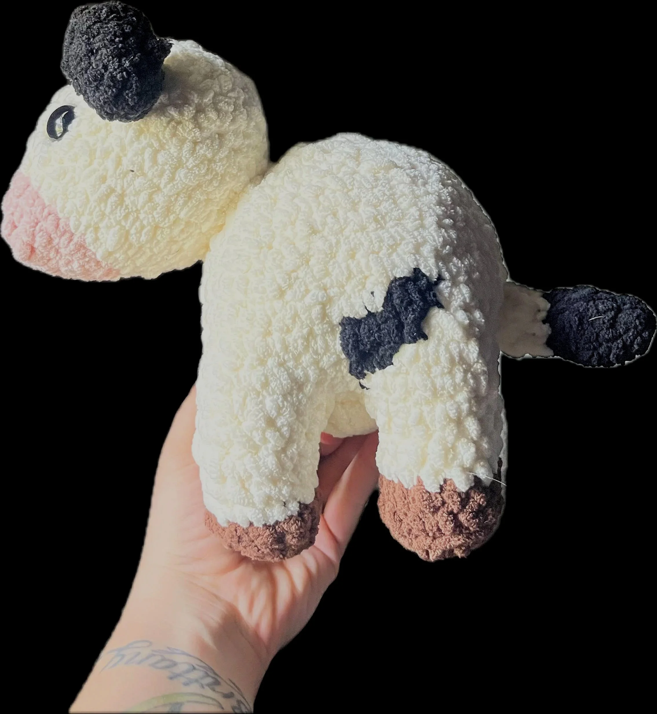 Standing black and white cow