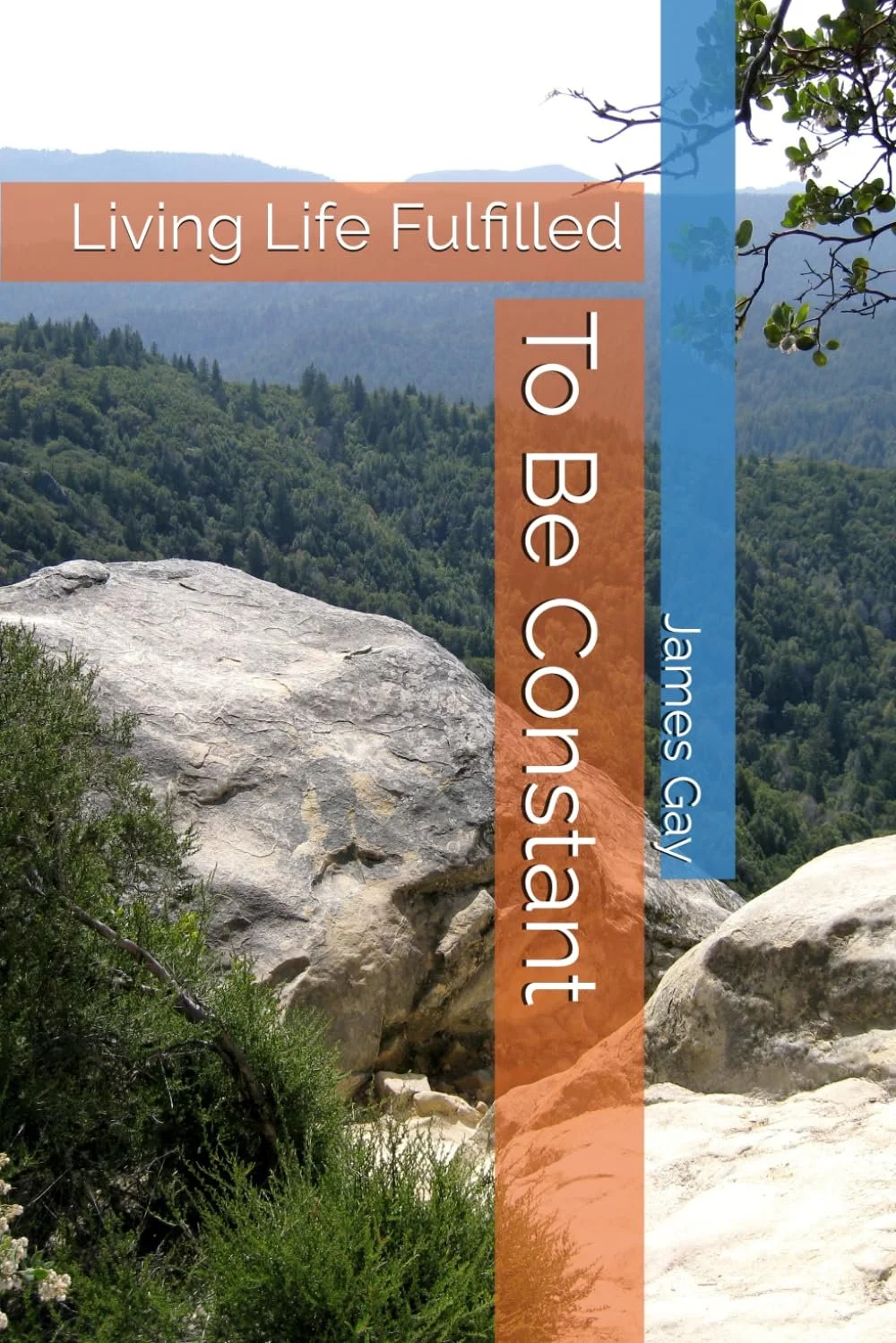 Scenic mountain view with large rocks and greenery, with overlaid text reading: "Living Life Fulfilled To Be Constant" and the author's name, James Gay.