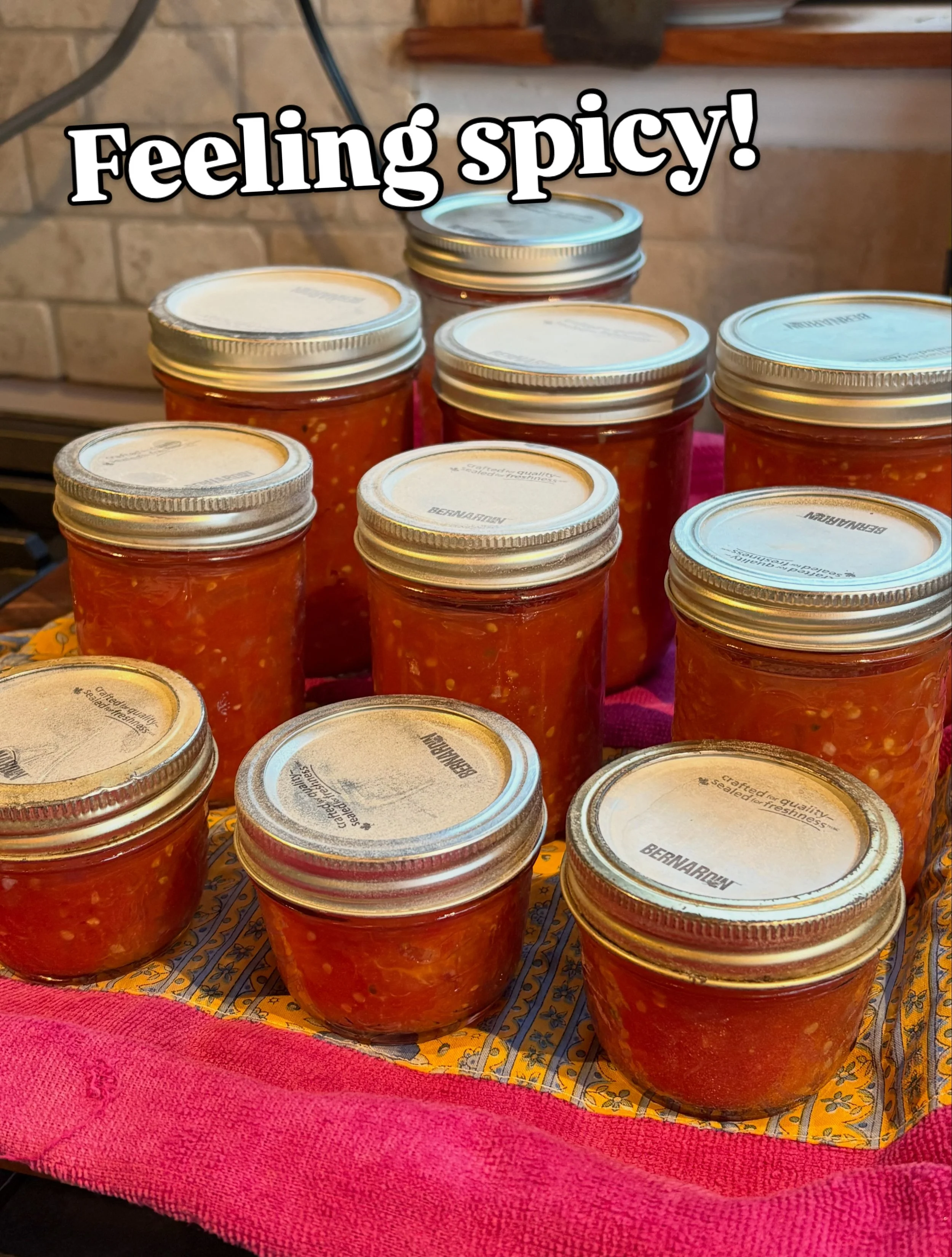 Salsa with our tomatoes &amp; a friend&rsquo;s Very Spicy jalape&ntilde;os 🌶️!