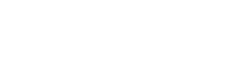 the Festival