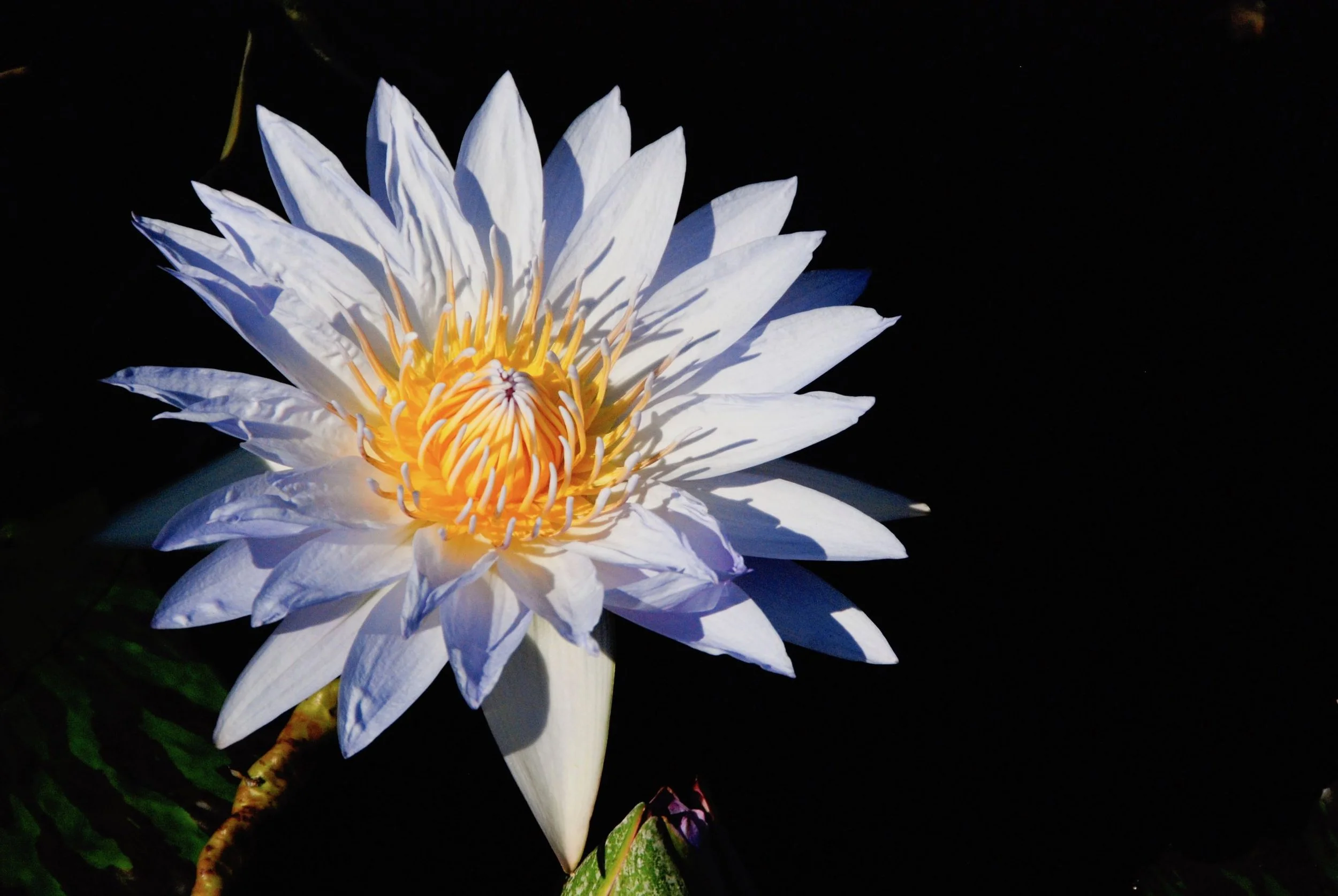 I have a question for you