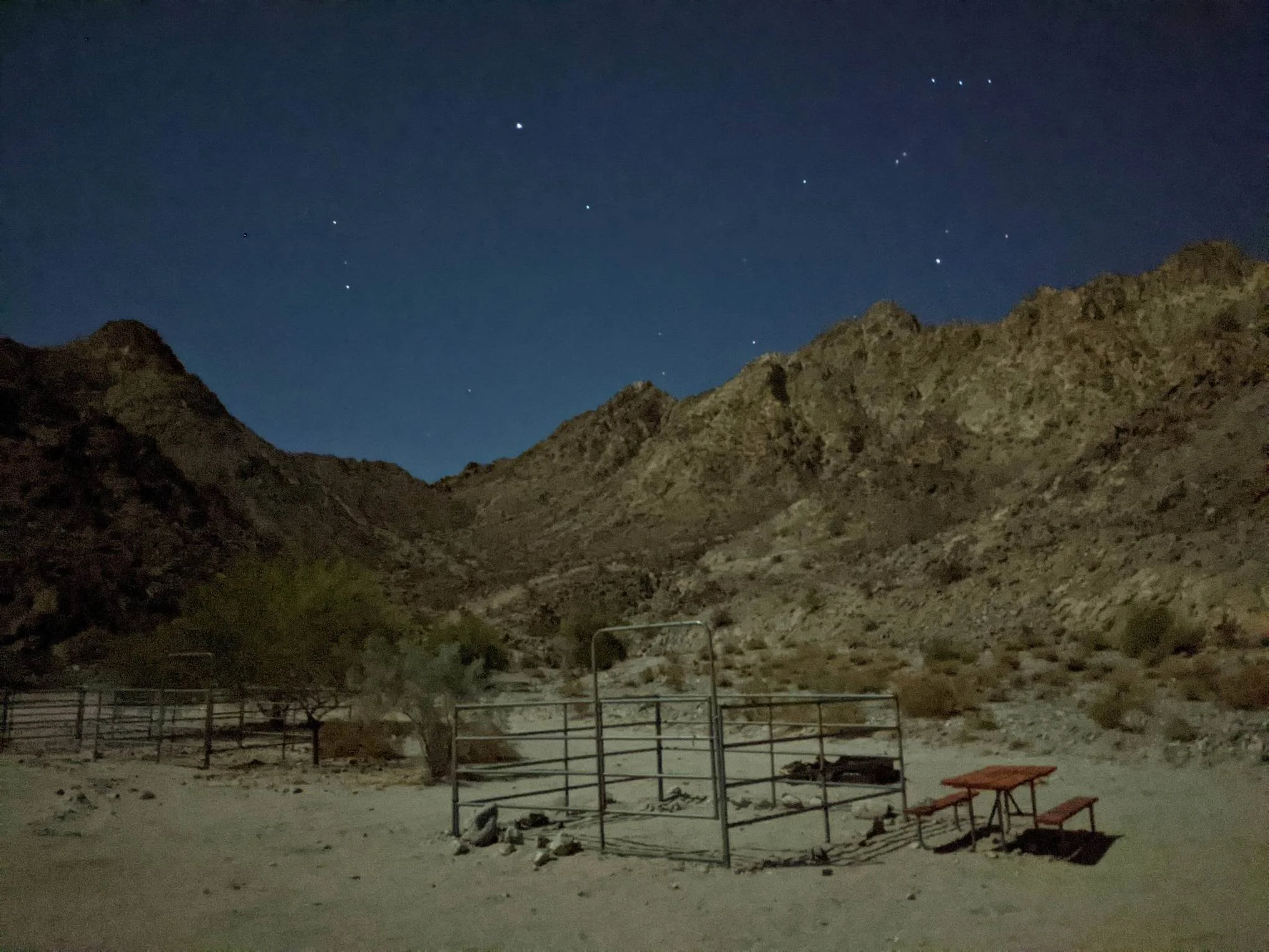 It was just relish, right?