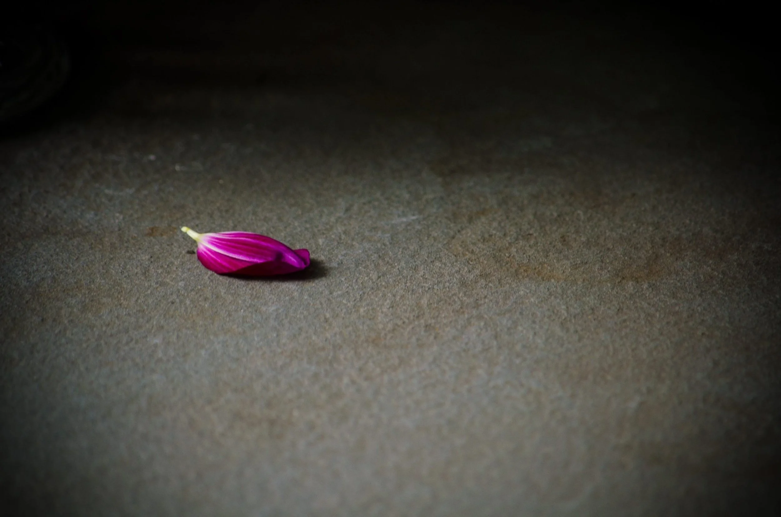 The silence of the soul in the sanctuary of God's presence