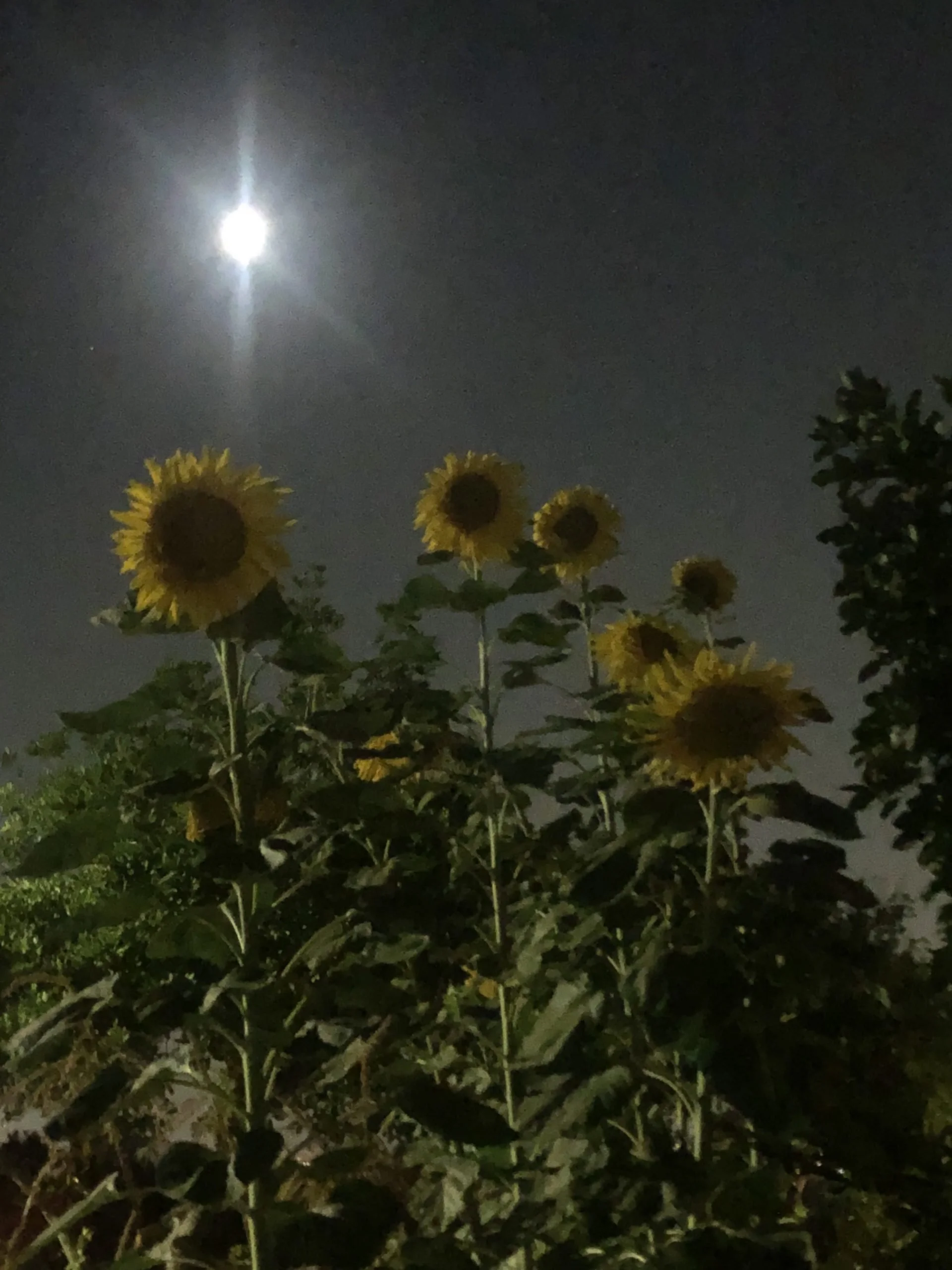 Know enough to choose empathy