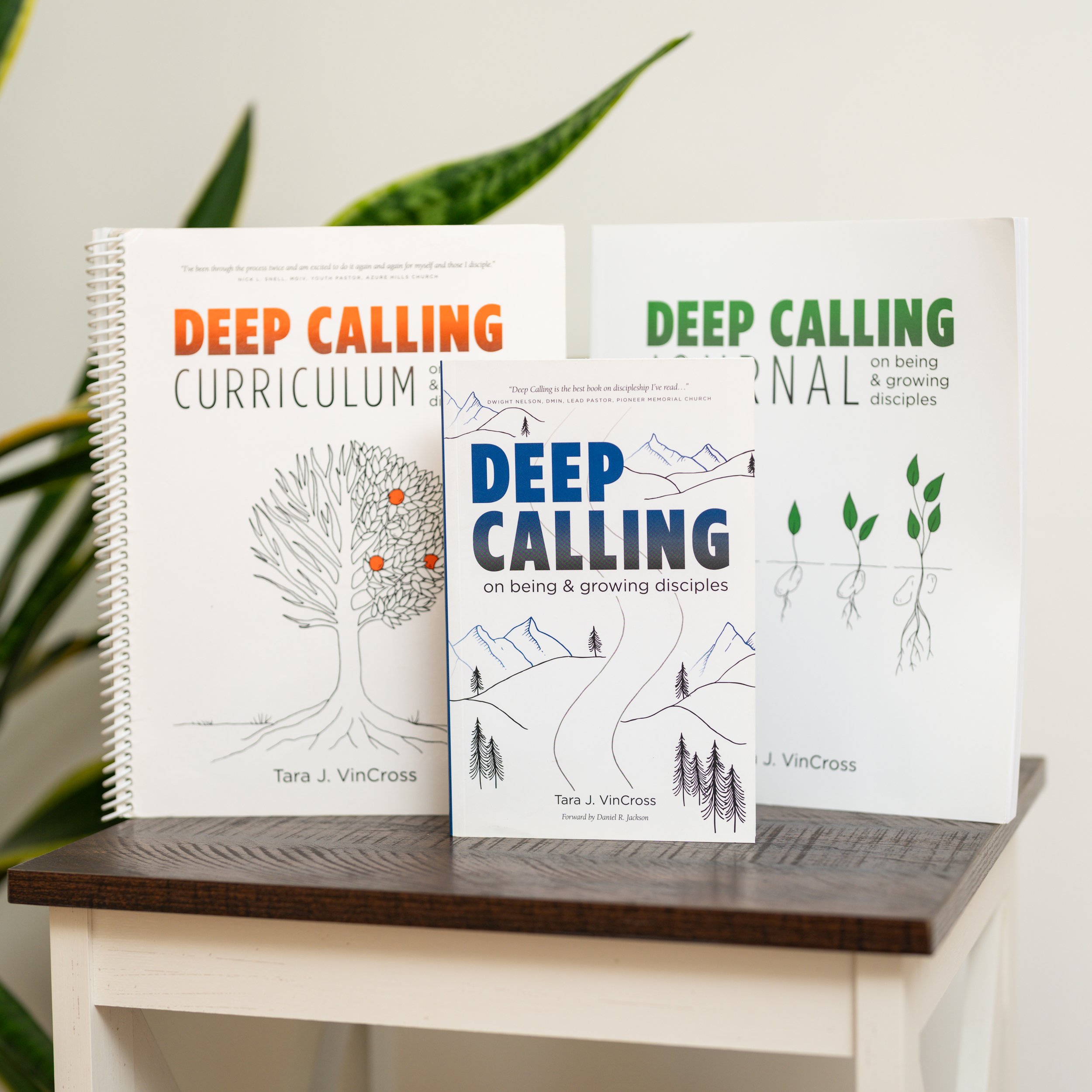 Tara VinCross Book Photoshoot-56.jpg