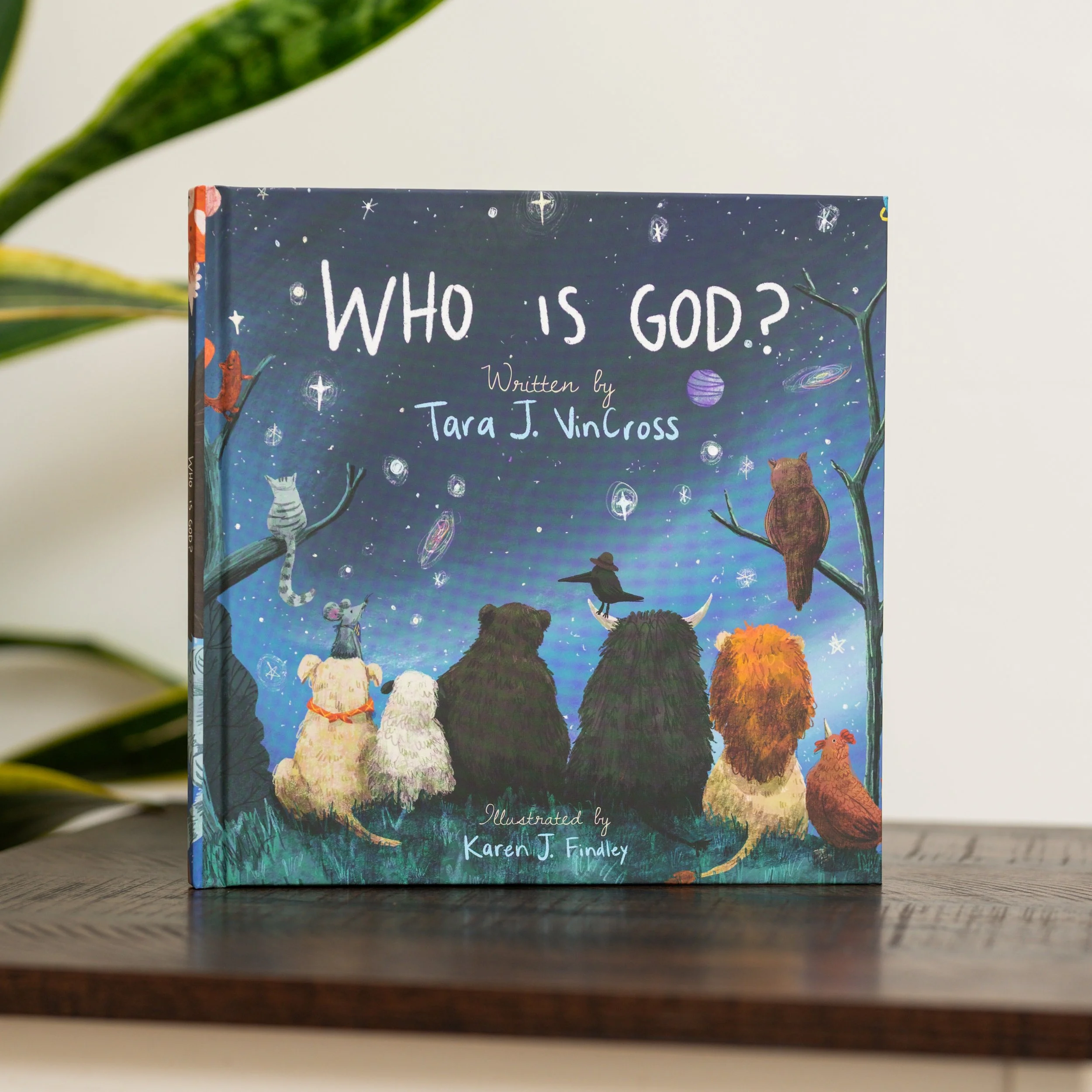 Tara VinCross Book Photoshoot-54.jpg