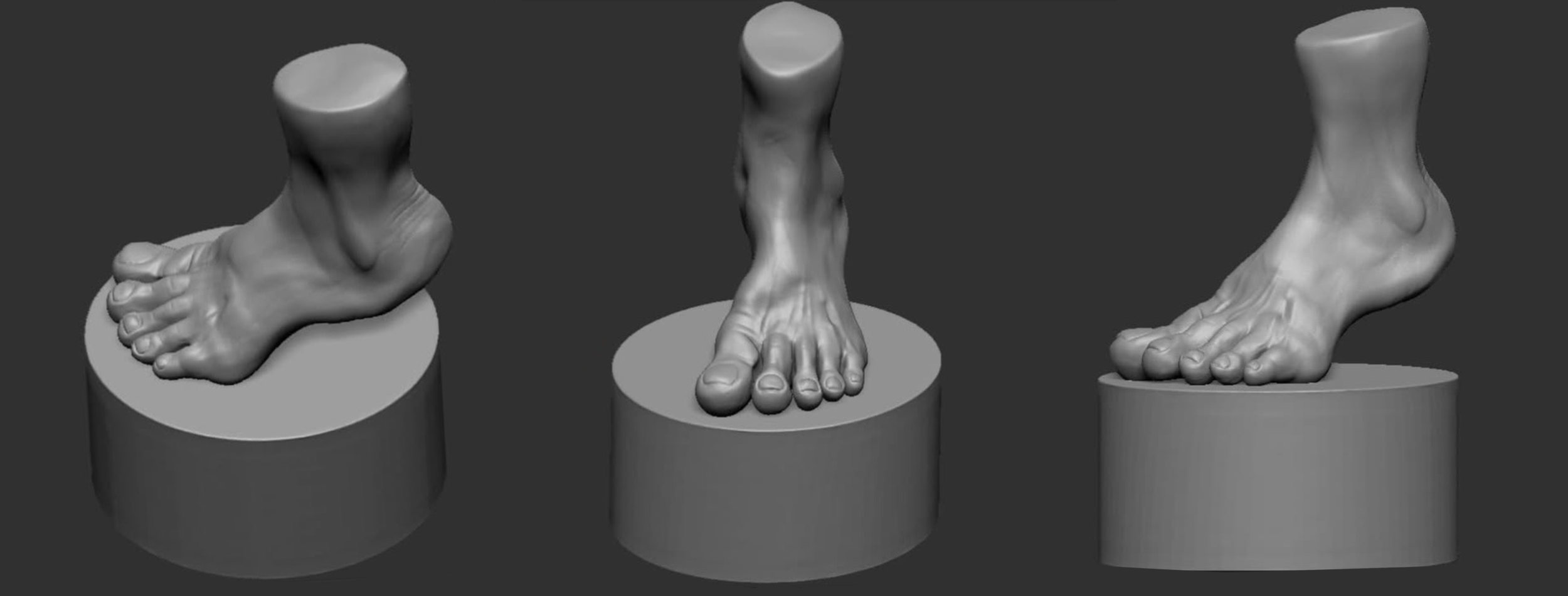 3D Foot Model