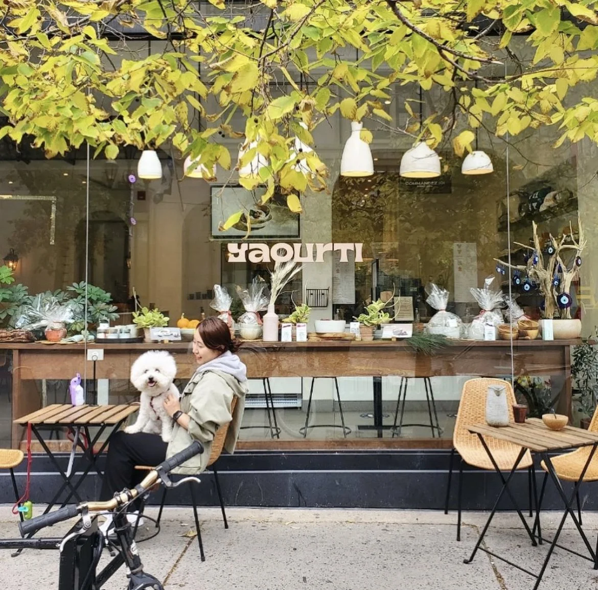 Jaynee Kim Acupuncturist sitting outside a cafe on a black chair, smiling while holding a white fluffy dog. There are two empty chairs and a small table in front of her, with a bicycle parked nearby.