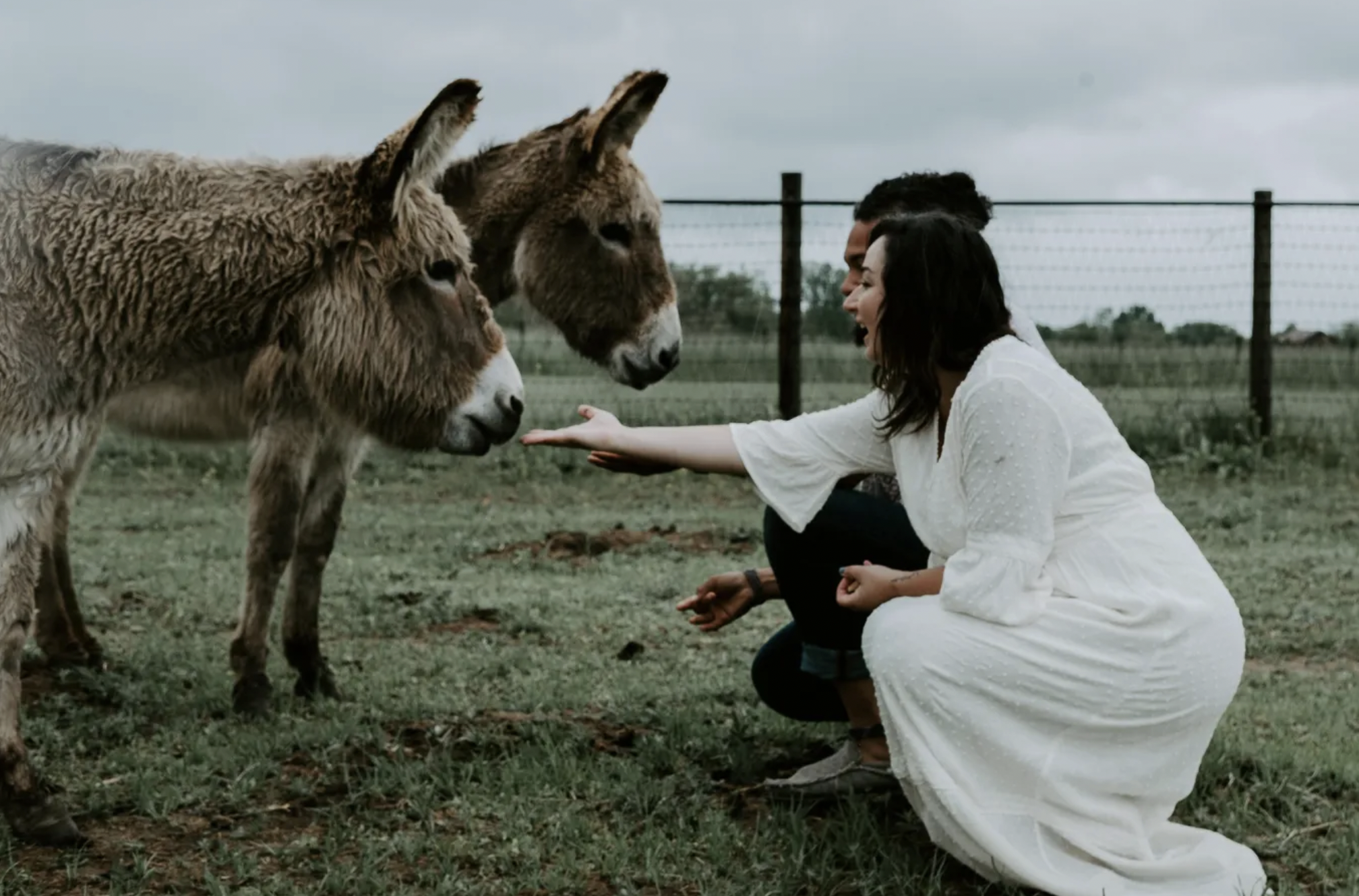 Screen Shot 2026-01-29 at 9.32.01 PM.png