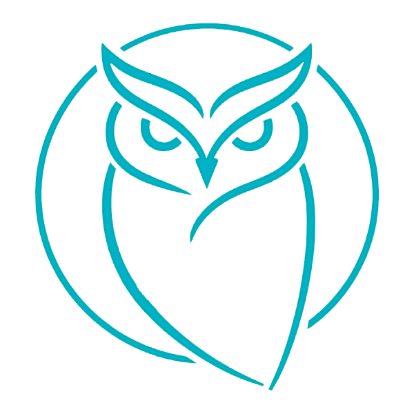 Lucky gang consulting LLC 