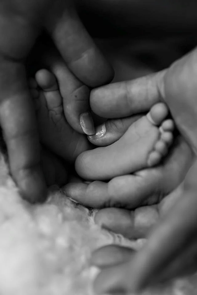 Close-up of a newborn baby's tiny hand holding an adult's finger in black and white.