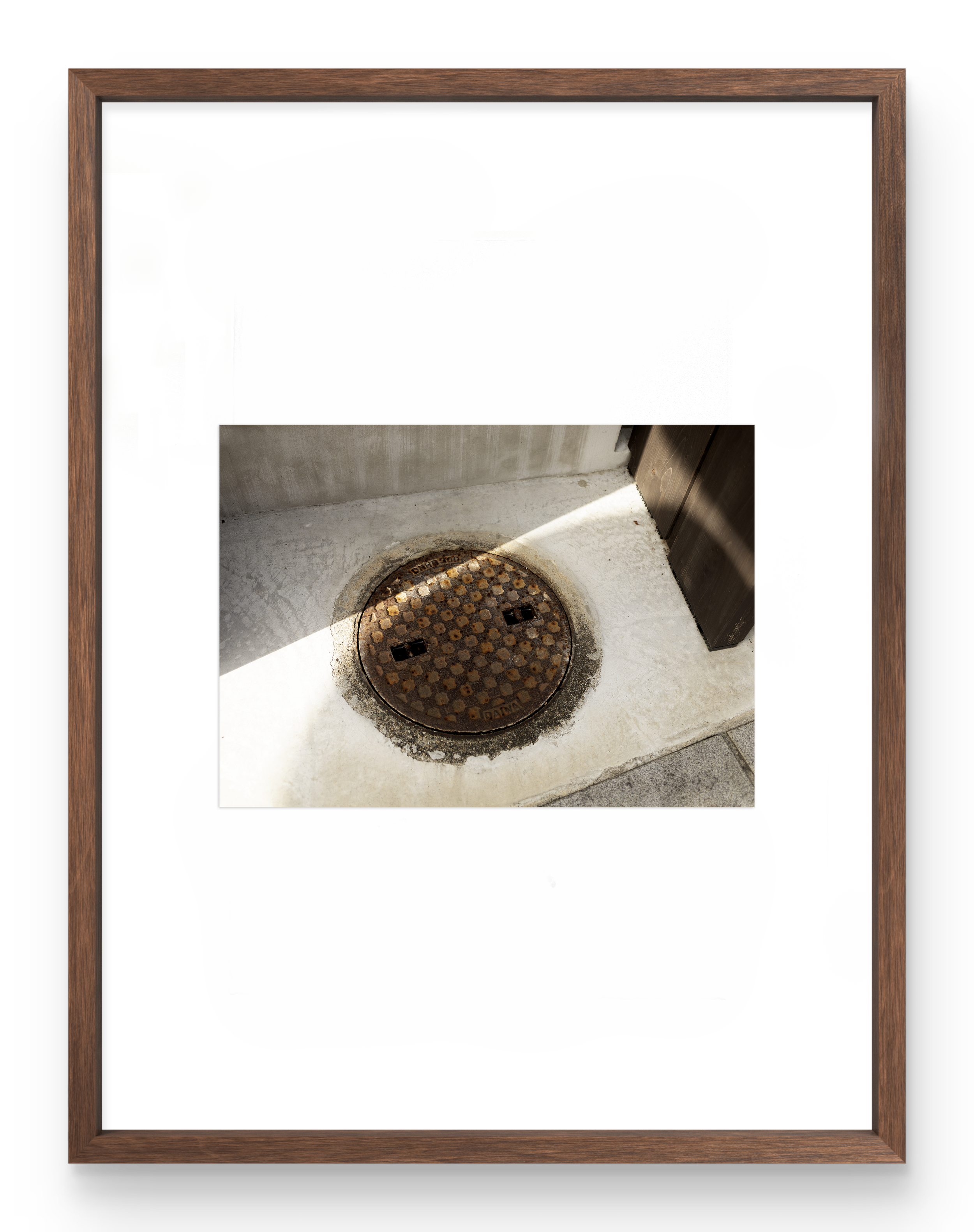 81cdae60-b974-11ef-aef9-cb484749aa7e copya.png