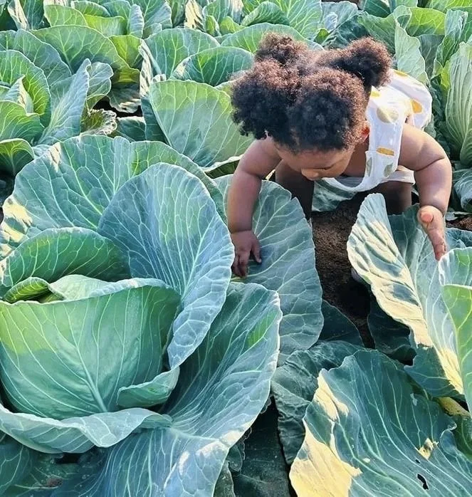 A young child with curly hair crouching among large green leafy plants in a garden.
