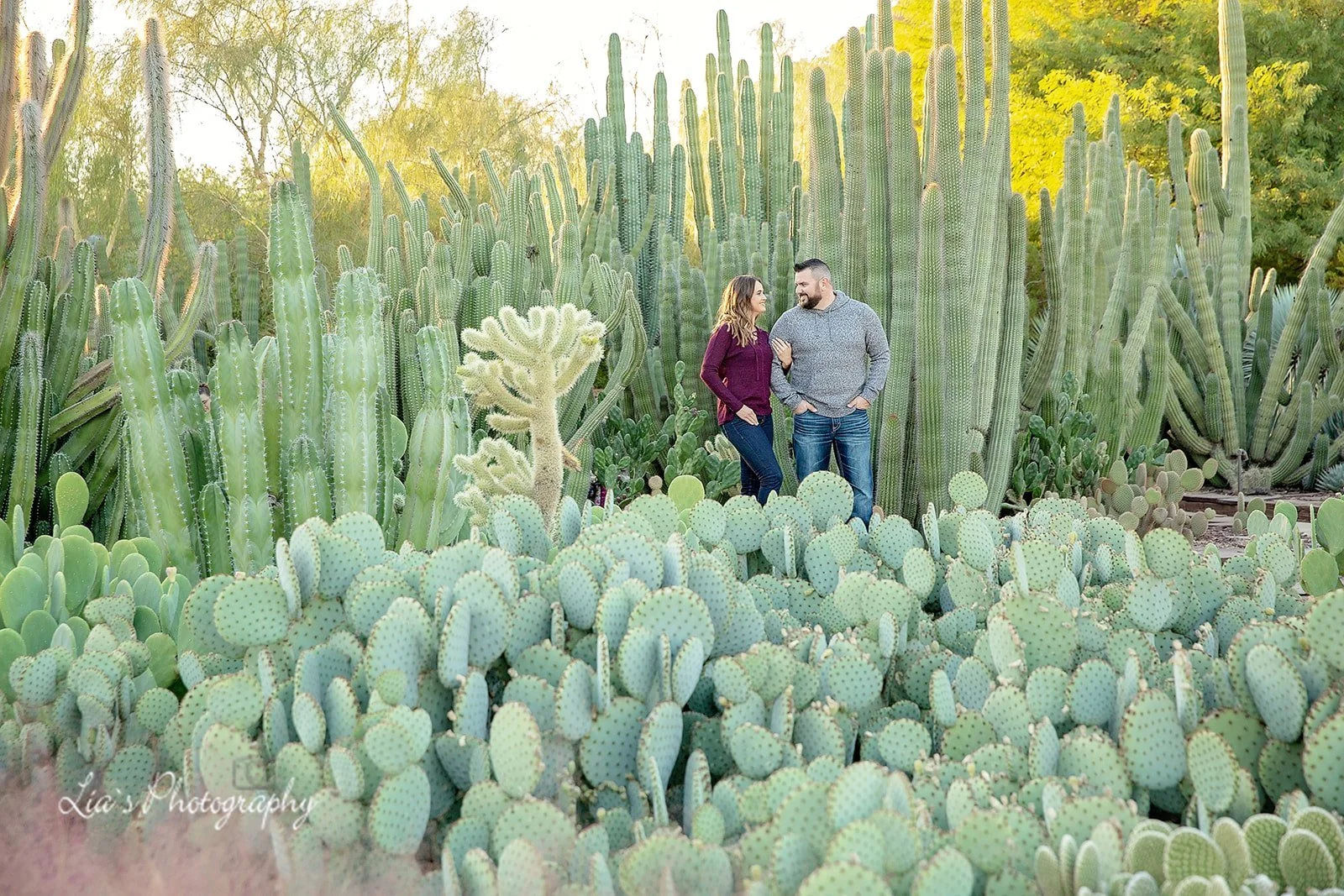 Engagement at Desert botanical garden  Phoenix.jpg