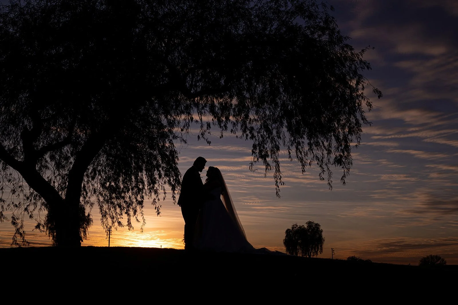 Phoenix wedding photographer (14).jpg