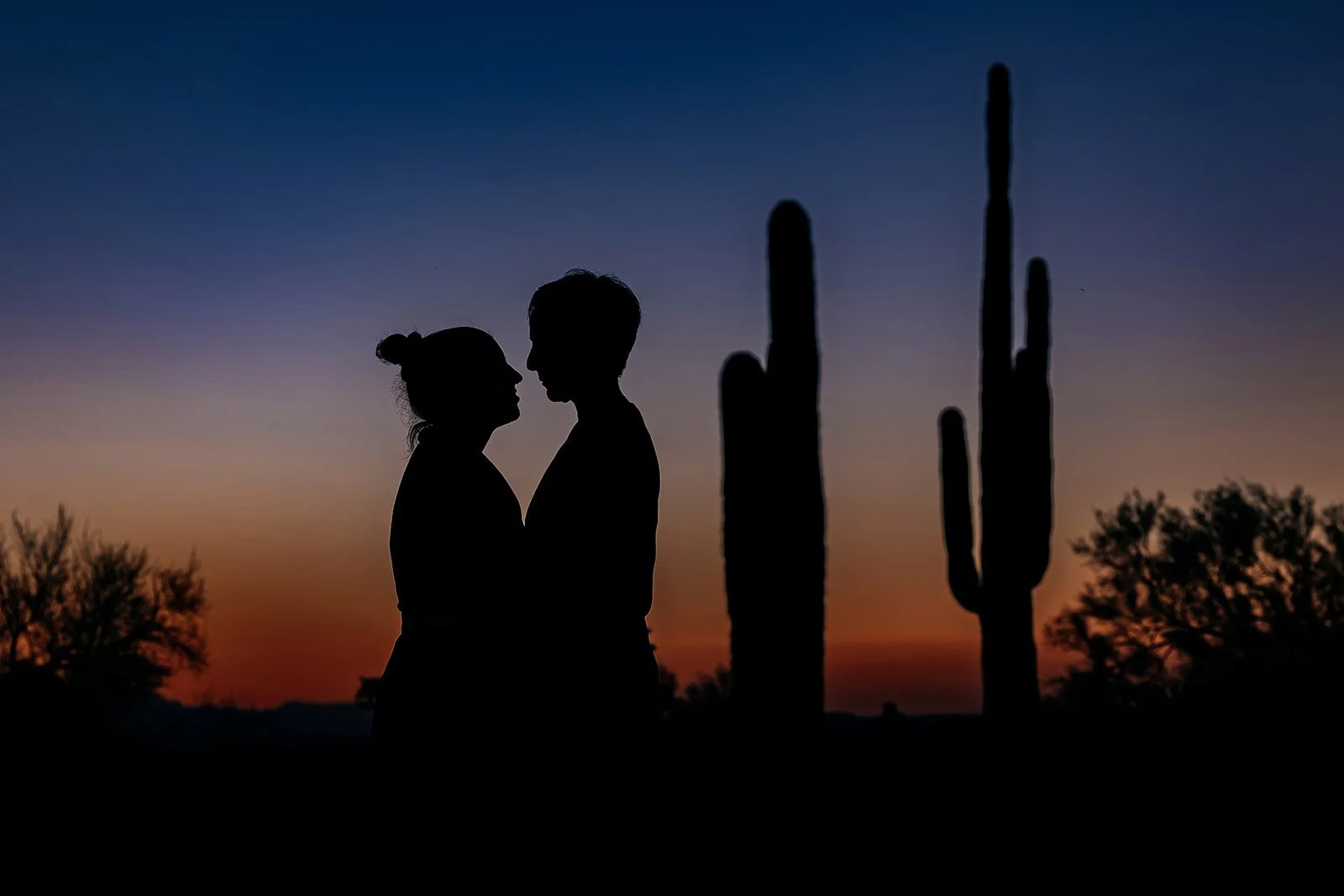 Arizona desert proposal session Lia's Photography.jpg