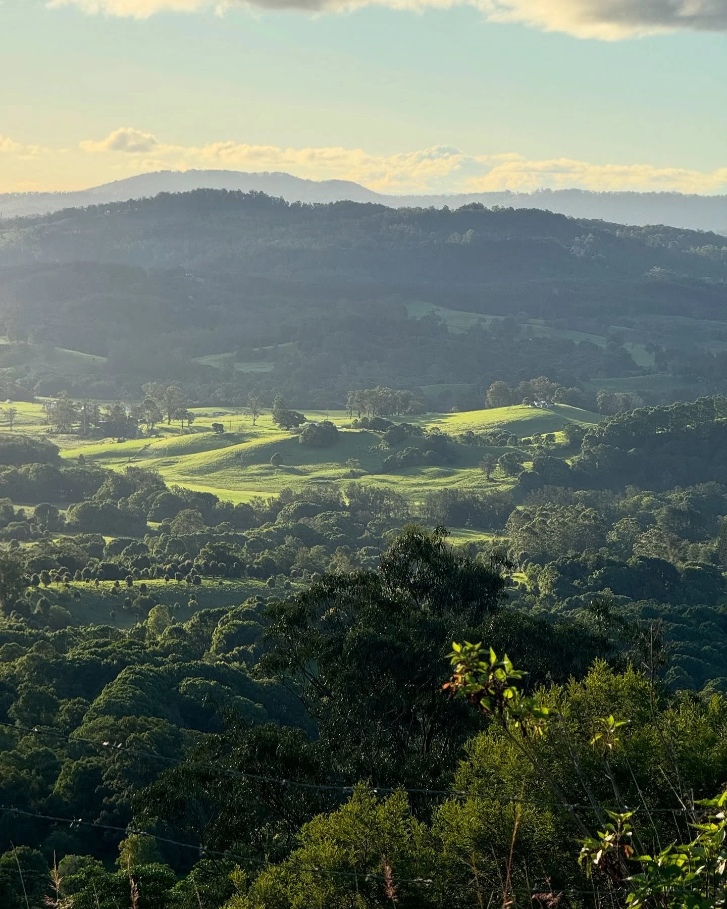 Views of nimbin from the farm 

#nimbin #sustainablefarm #organicfarming #byronbay #byronbayhinterland #farmlife #ruralliving #countryliving