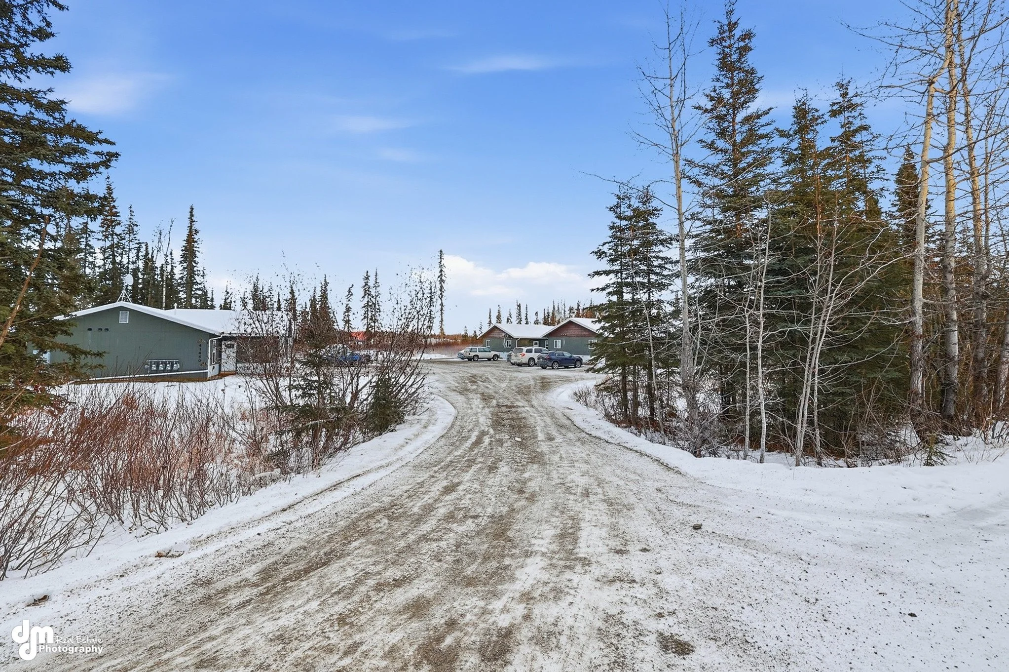 Snowy driveway leading to houses with parked cars, surrounded by trees under a blue sky.