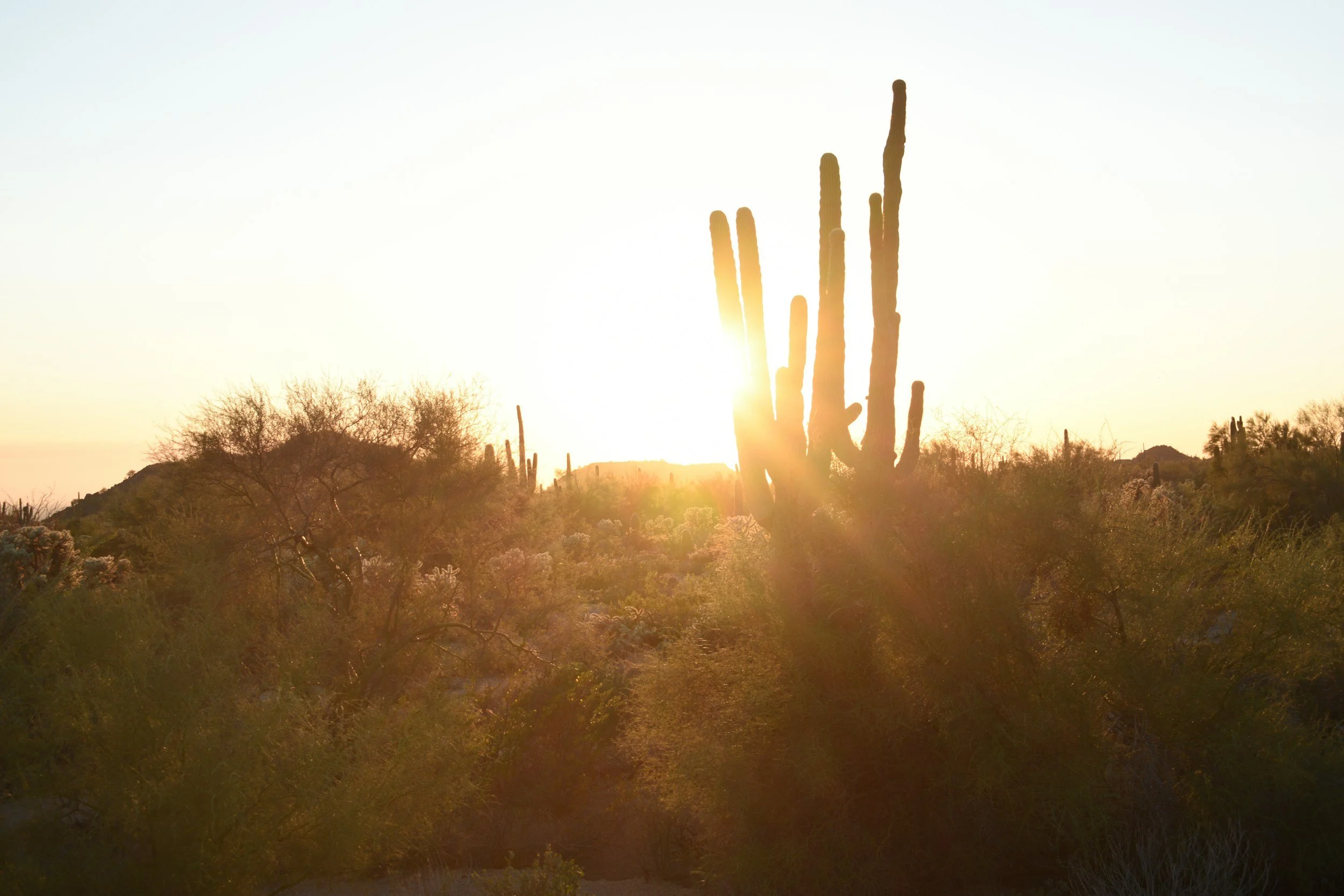 Retirement Insurance, Fixed Indexed Annuities, MYGA, Multi year guaranteed Annuities