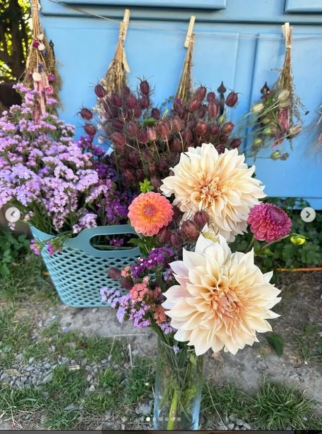 dahlia and dried flowers.JPG