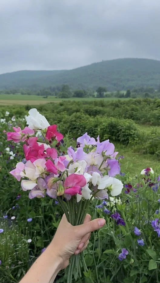 Sweet Pea Bouquet.jpg