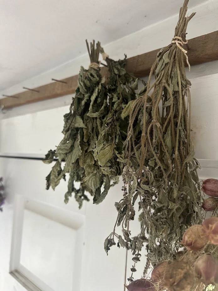 tea drying.jpg