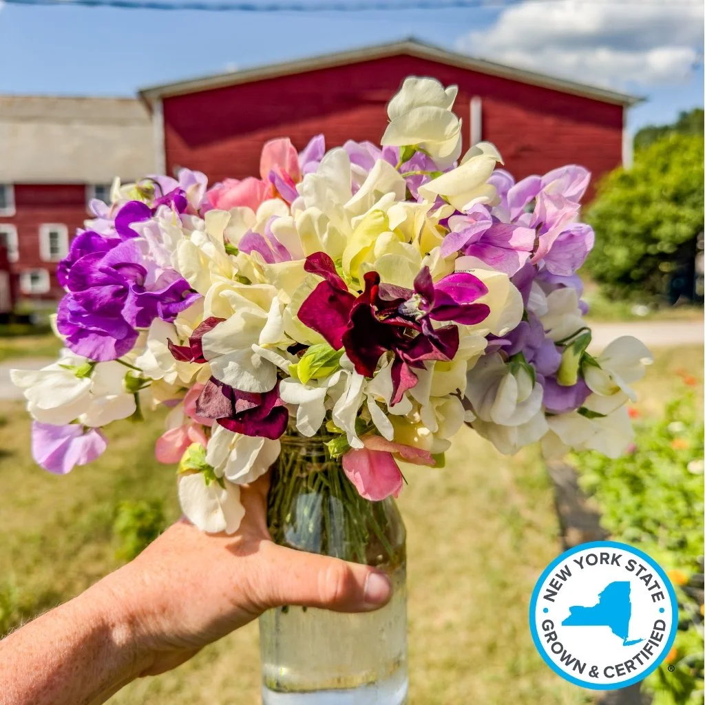 gardenworks-NYSGS-cut-flowers (1024 x 1024 px) (4).jpg
