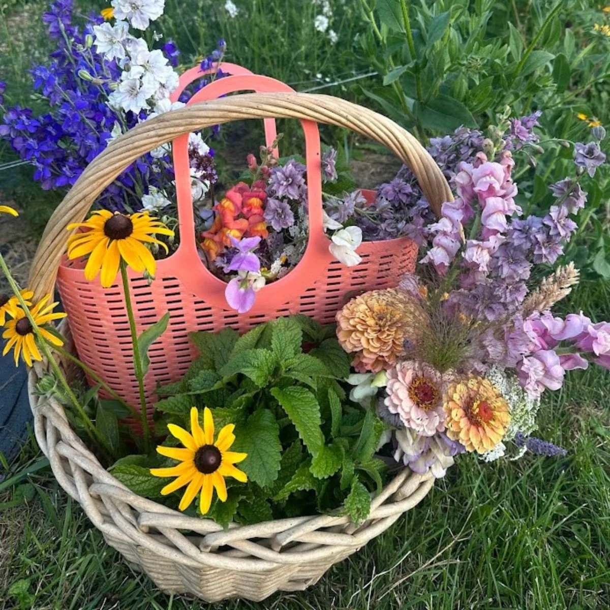 Untitled design (1).jpg