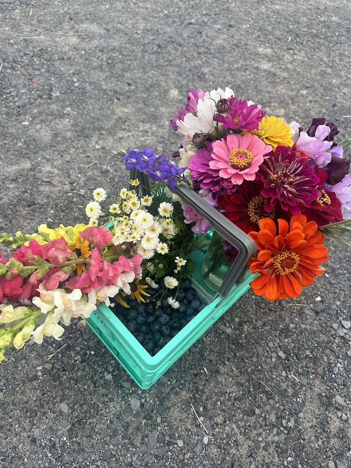 blueberriesandflowersbasket.jpg