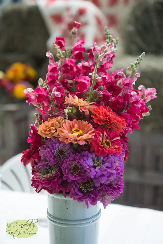 smaller arranged.jpg