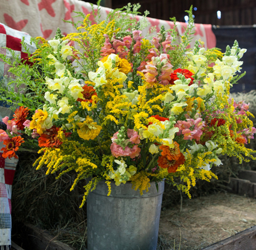 Field Arrangement Large or Small