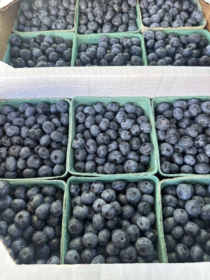 Frozen Blueberries