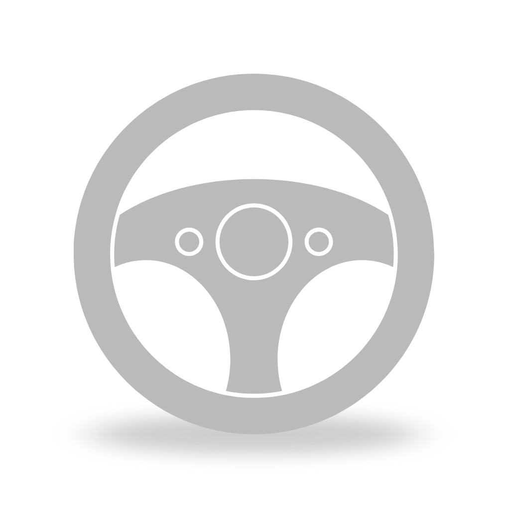 Icon of a car steering wheel