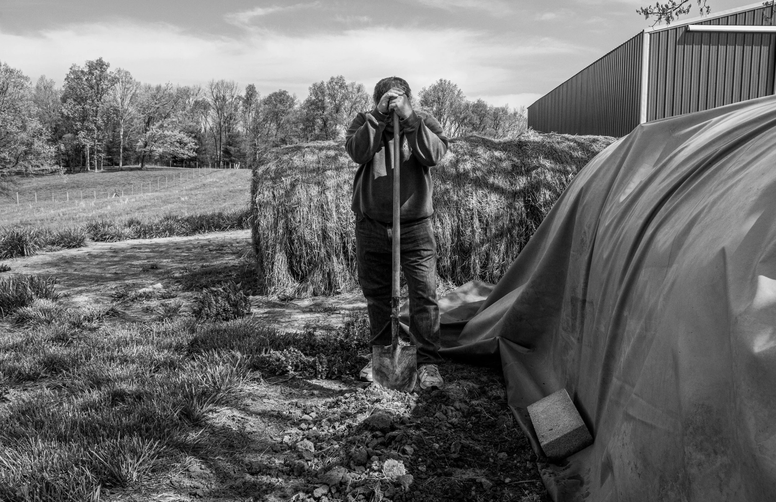 goodrich.bwbarn.11by17.jpg