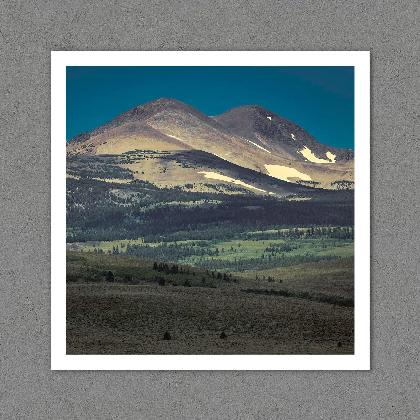 The Mountain Will Guide You