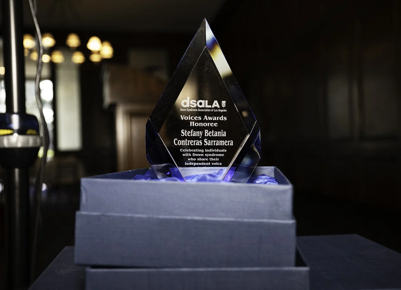Crystal award trophy for Down Syndrome Association of Los Angeles Voices Awards Honoree Stefany Betania Contreras Sarramera, presented in a blue box.
