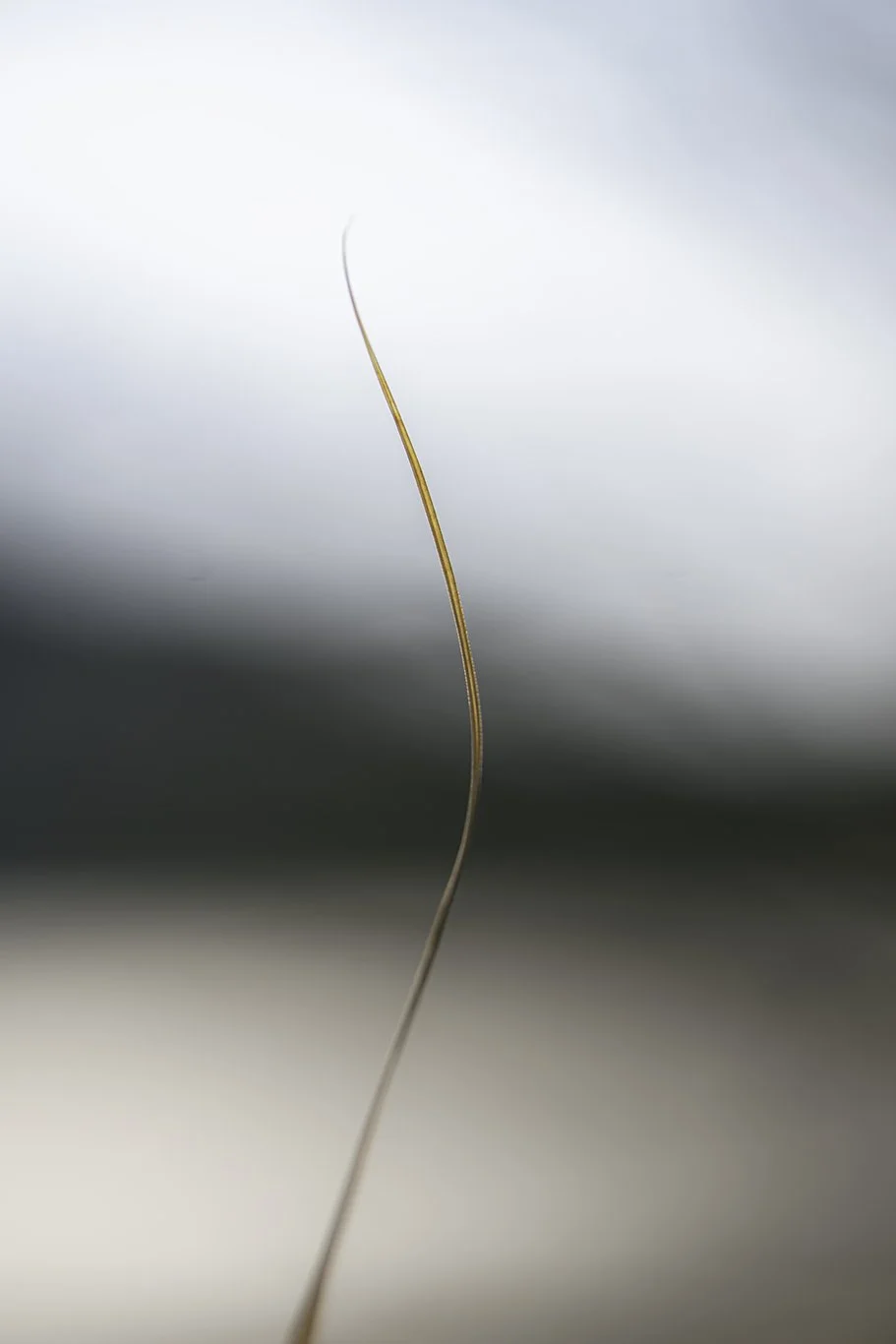 _DSC7929-Edit copy.jpg