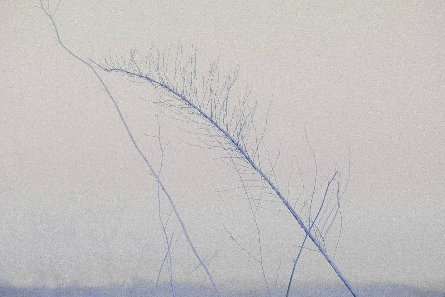LA-fine-art-photography-jiao-yang-Look-Back_DSC2919.jpg