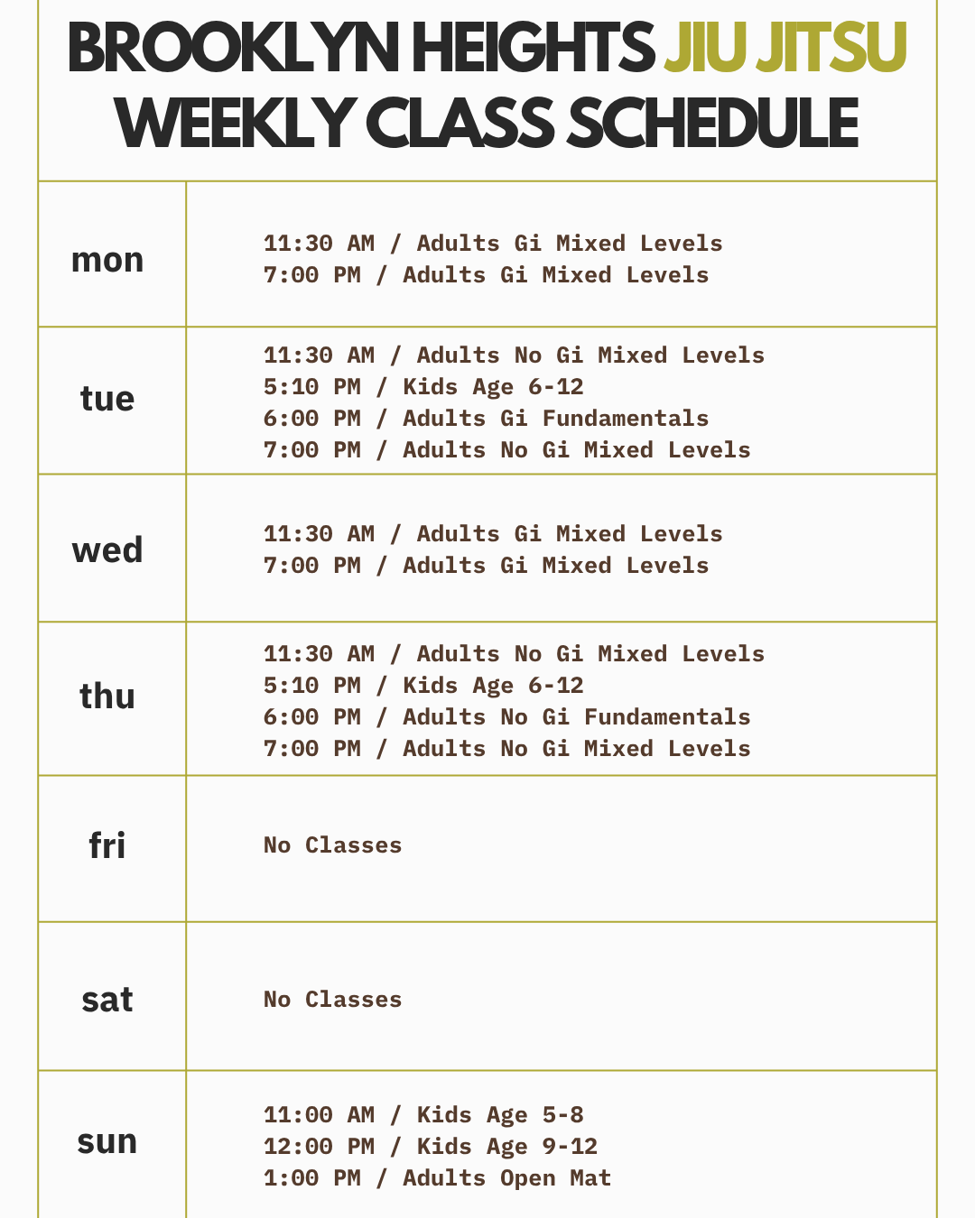 Schedule for Brooklyn Heights Jiu Jitsu weekly classes, listing classes by day of the week with times and age groups.